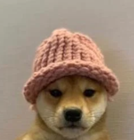 Dog Wif Hat